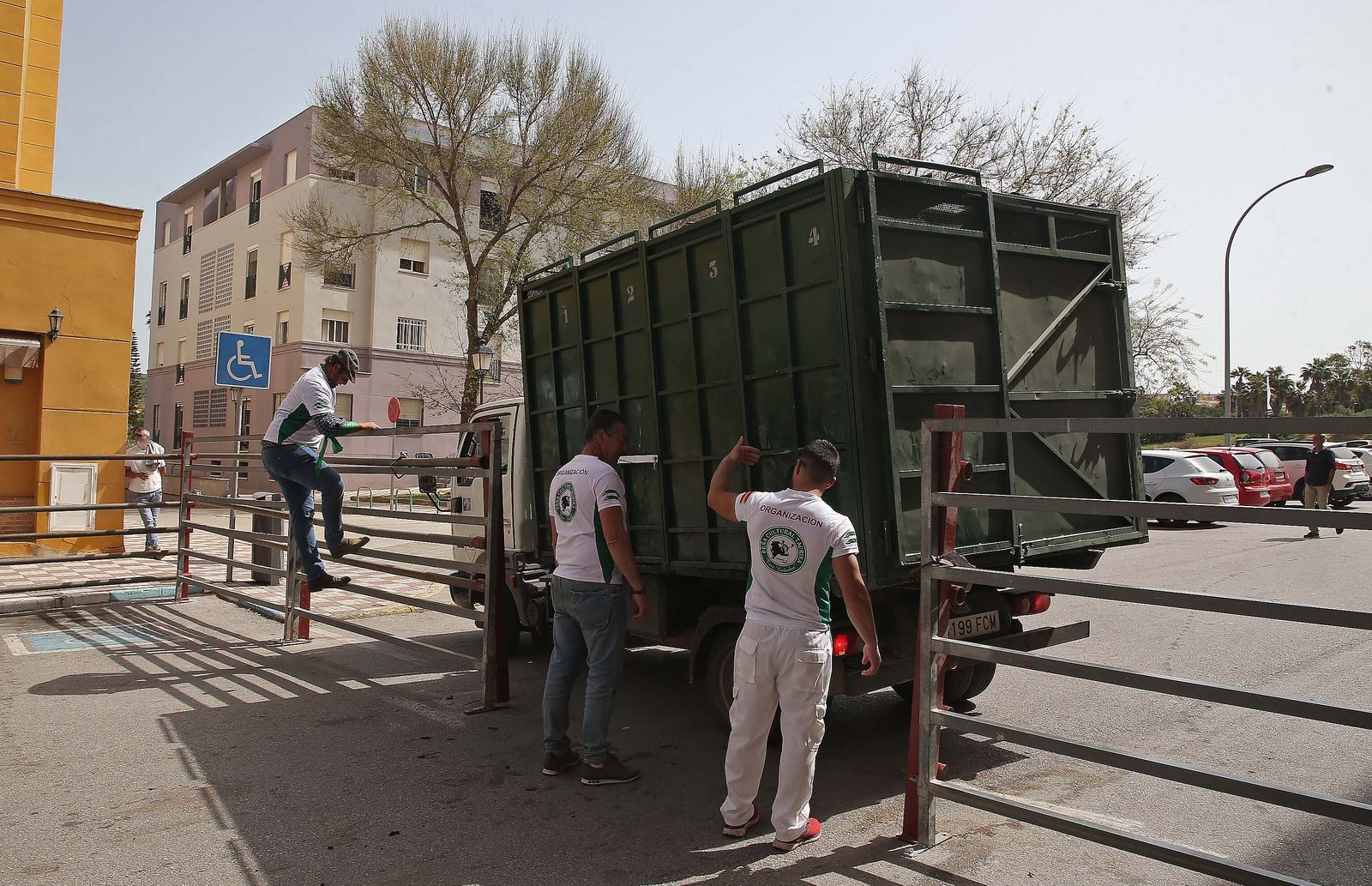 Fotos del Toro Embolao en Los Barrios