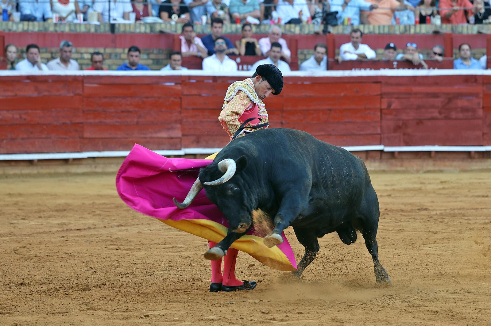 Toros La Merced: Imágenes de la corrida de David de Miranda, Roca Rey y Manzanare