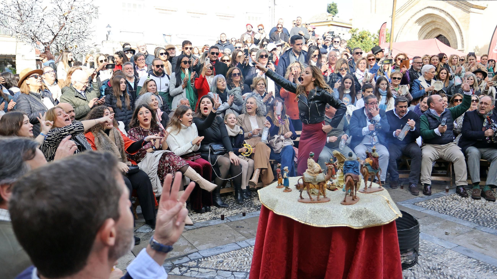Imágenes de la zambomba BIC en Jerez