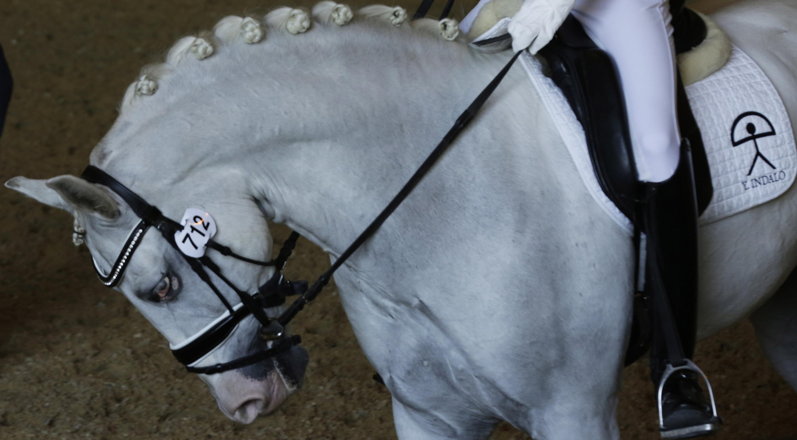 Imágenes del Sicab 2020 en su primer día