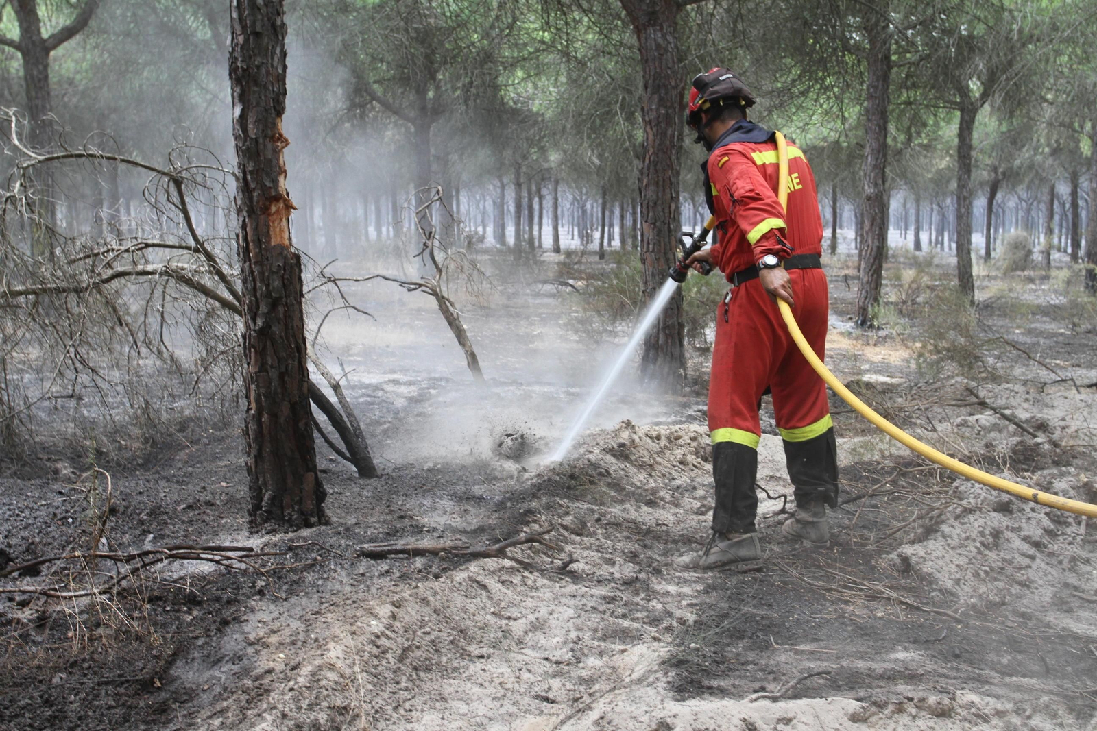 Las imágenes del incendio en Moguer y Mazagón