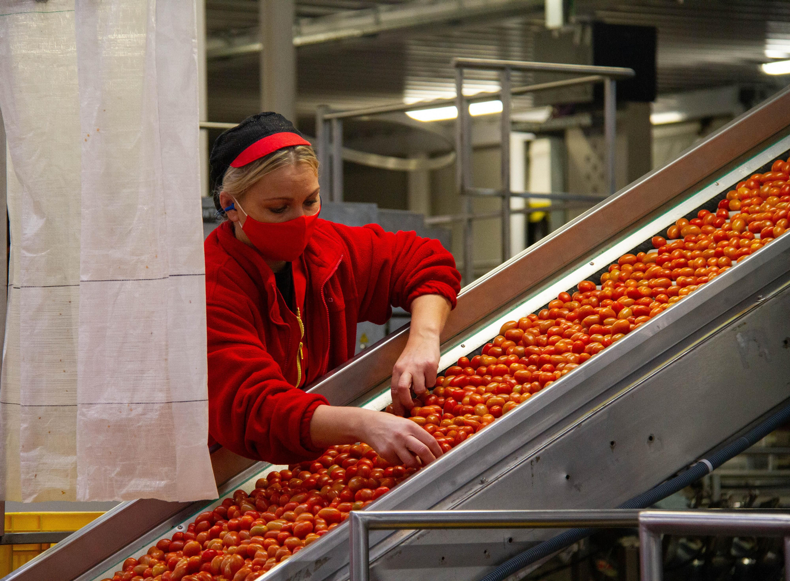 La provincia de Granada supera los 425 millones de euros en exportaciones de agricultura