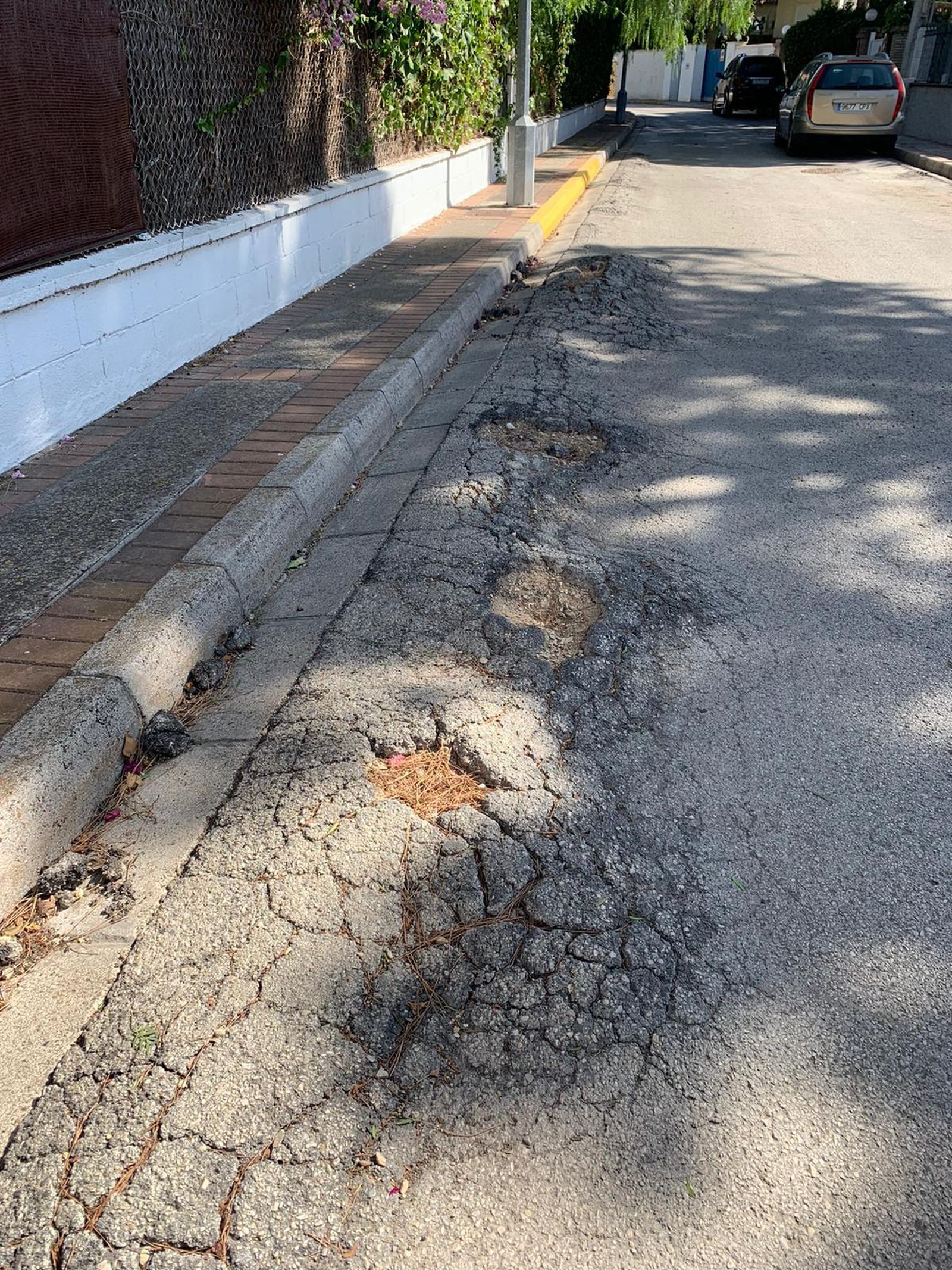 La calle Olvera, en la urbanización de Valdelagrana.