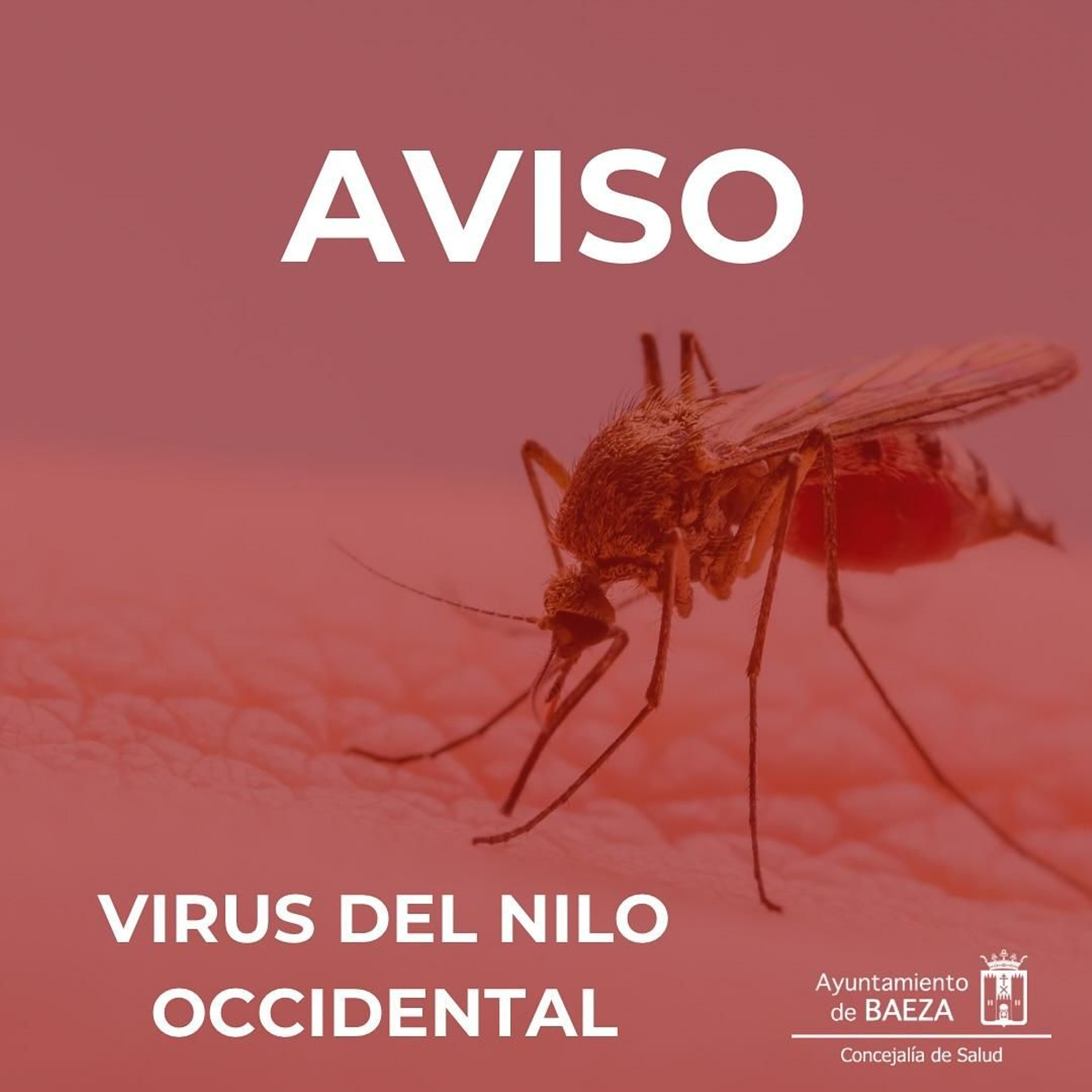 Aviso contra los mosquitos del Virus del Nilo.