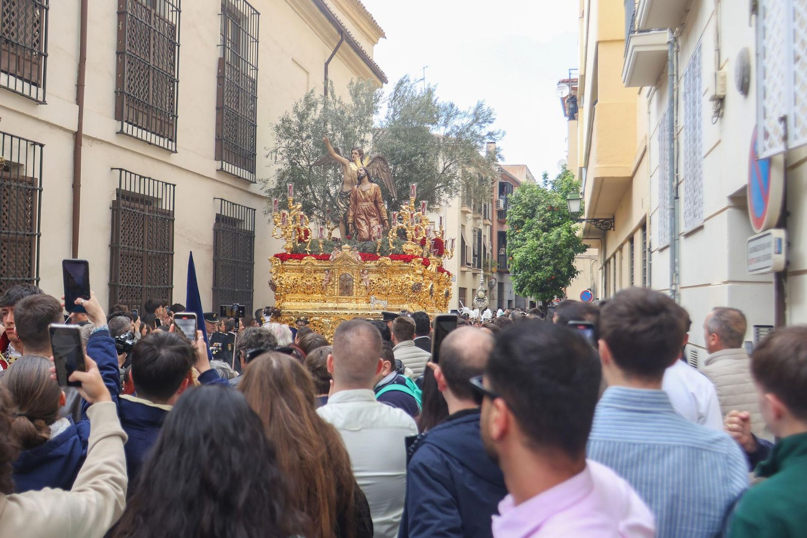 Así vivió Granada la salida de la Hermandad del Huerto 2025