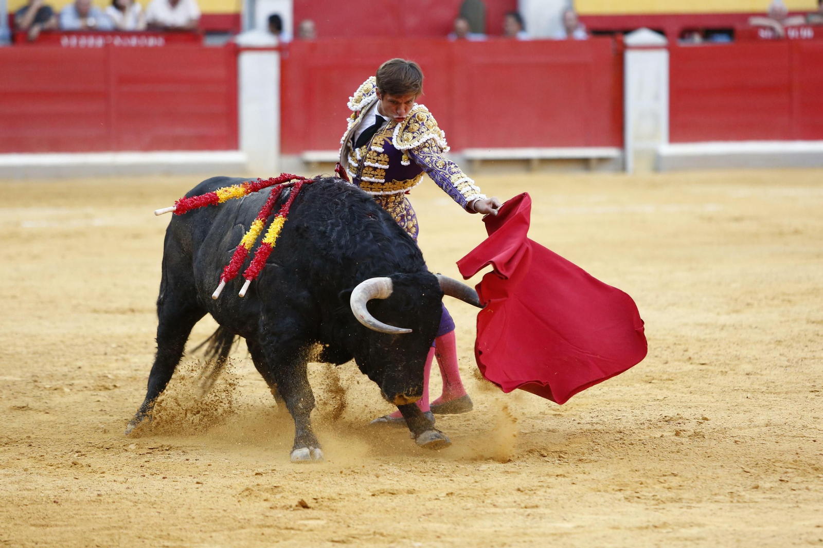 Las mejores imágenes de los toros en el Corpus