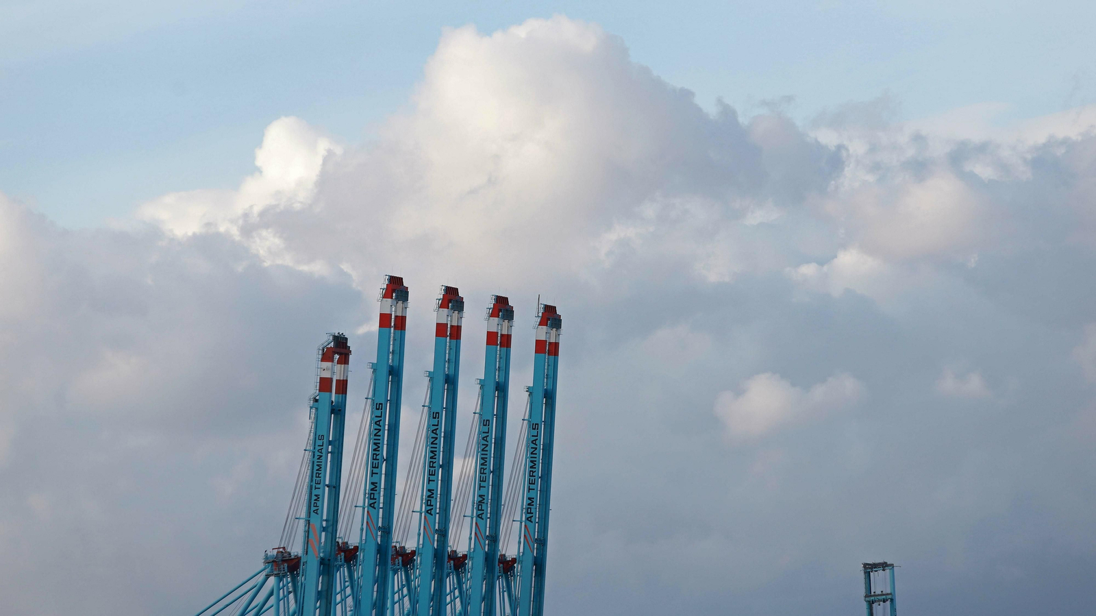 Las mejores fotos de la llegada del MSC Arina al puerto de Algeciras