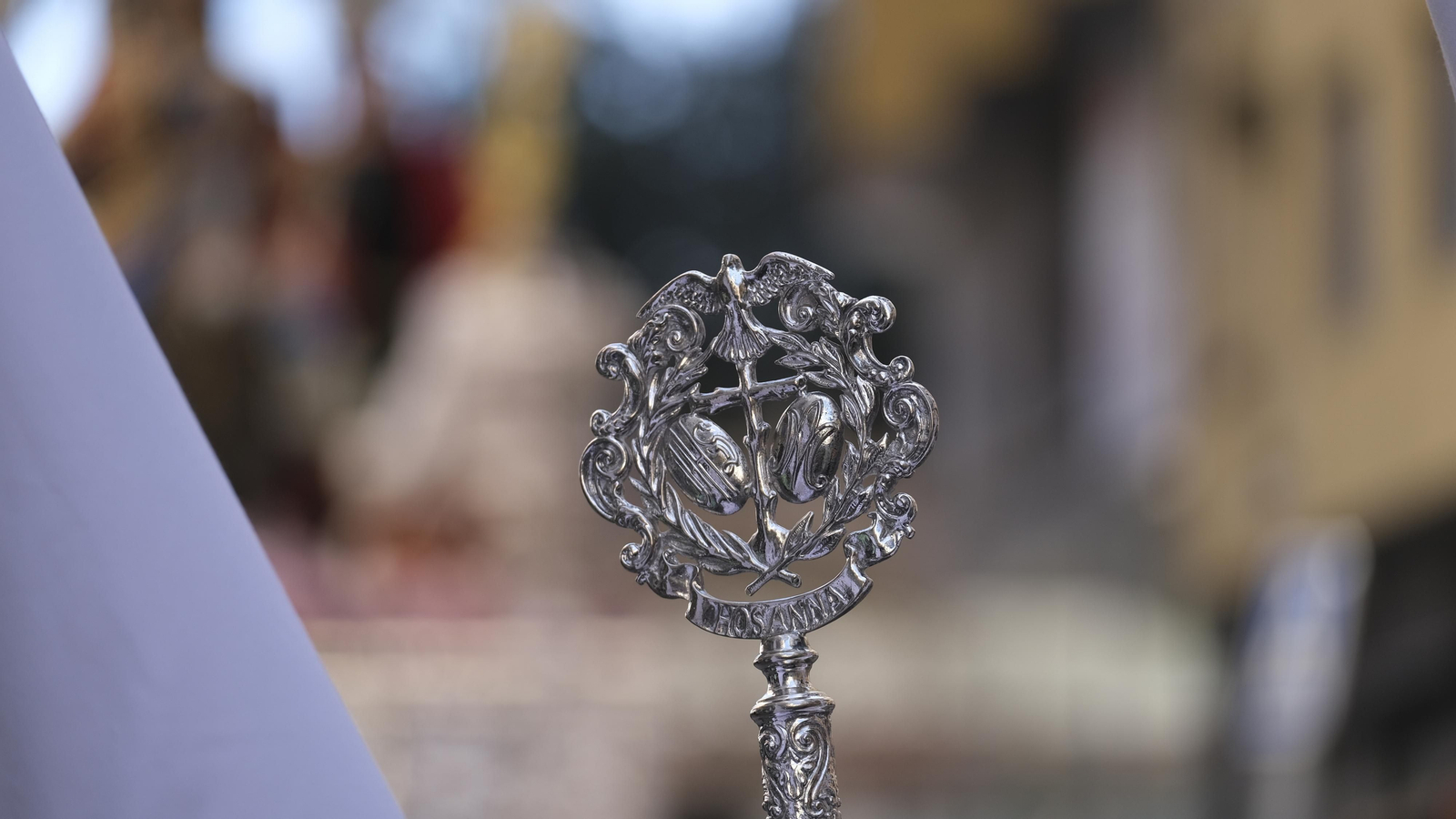 Imágenes de la Procesión de la Borriquita de Almería