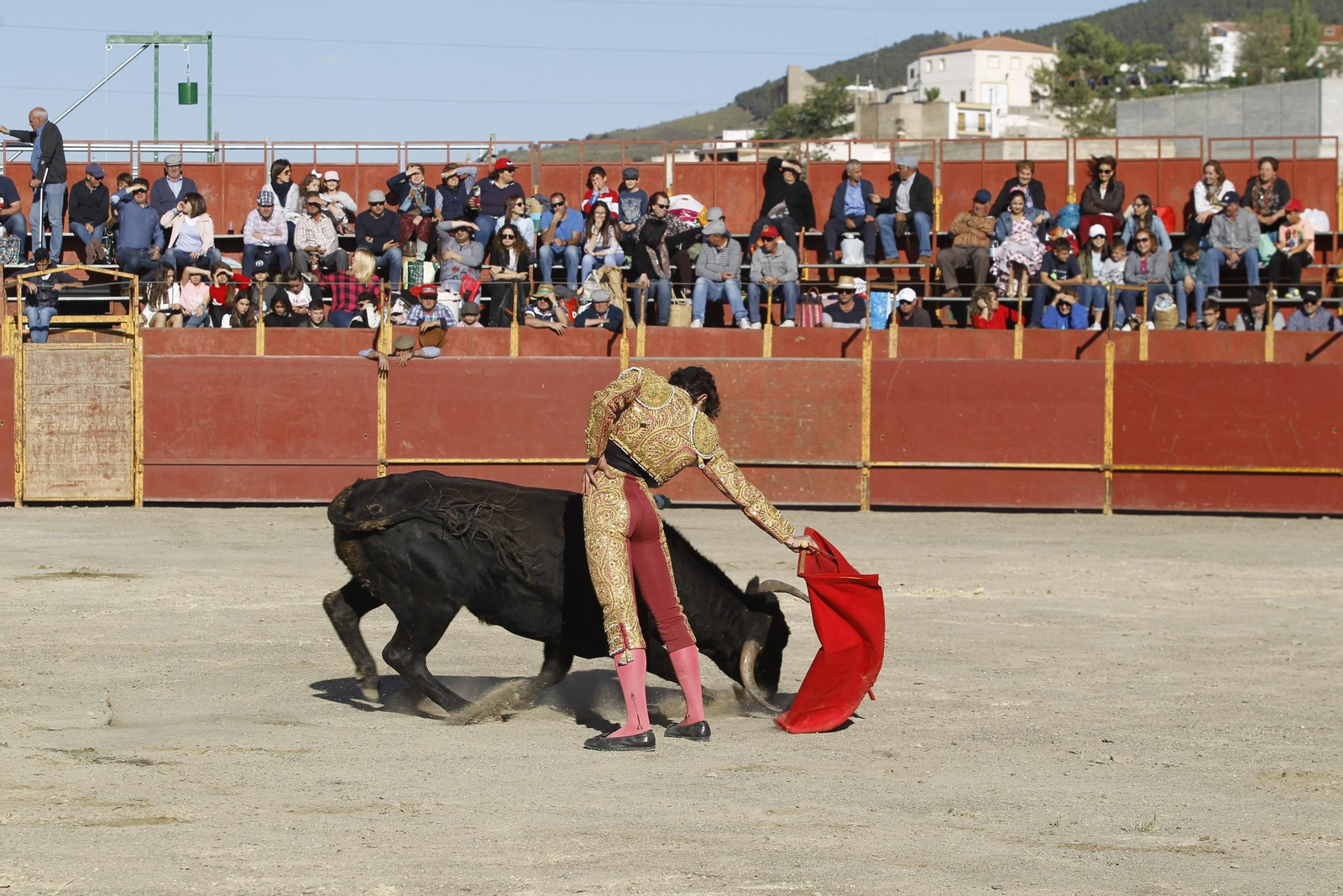 Fotogalería Novillada Fiestas de Abrucena