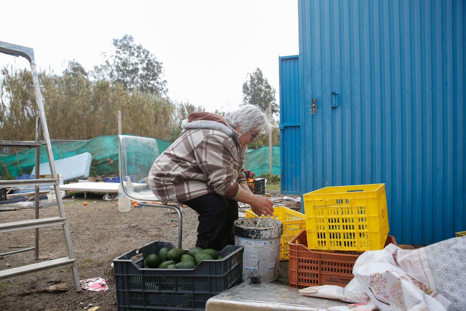 Fotos de las consecuencias de la borrasca Francis en Tesorillo y Jimena