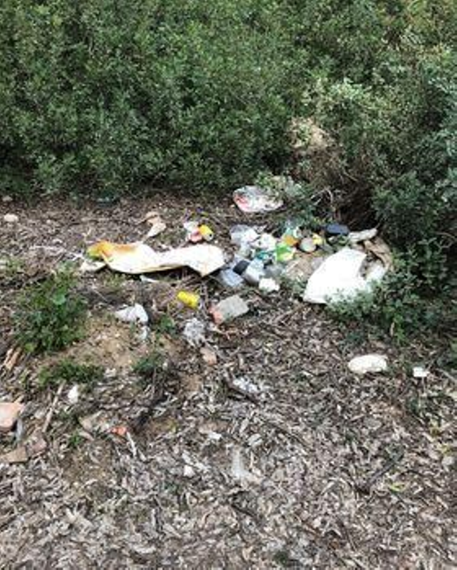Quejas por las basuras acumuladas en el parque de Las Aguilillas Quejas por las basuras acumuladas en el parque de Las Aguilillas