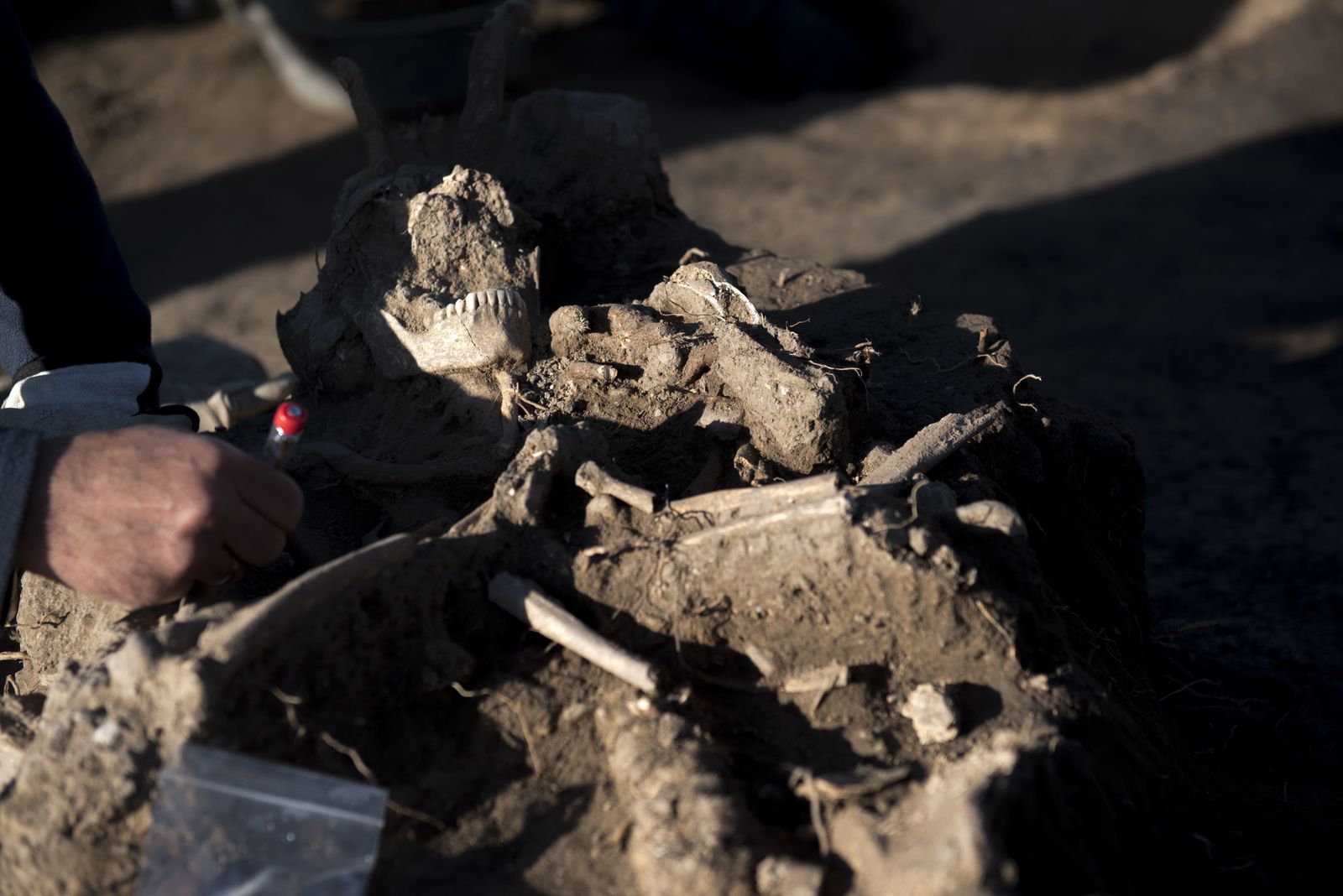 Nuevos hallazgos en Los Mondragones