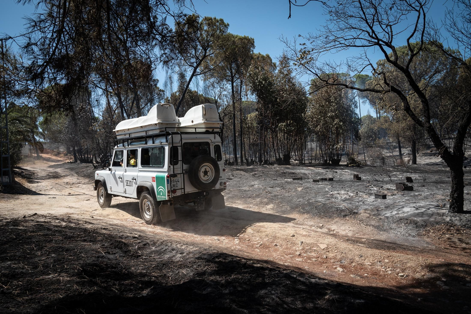 Imágenes de las labores de extinción del incendio de Bonares