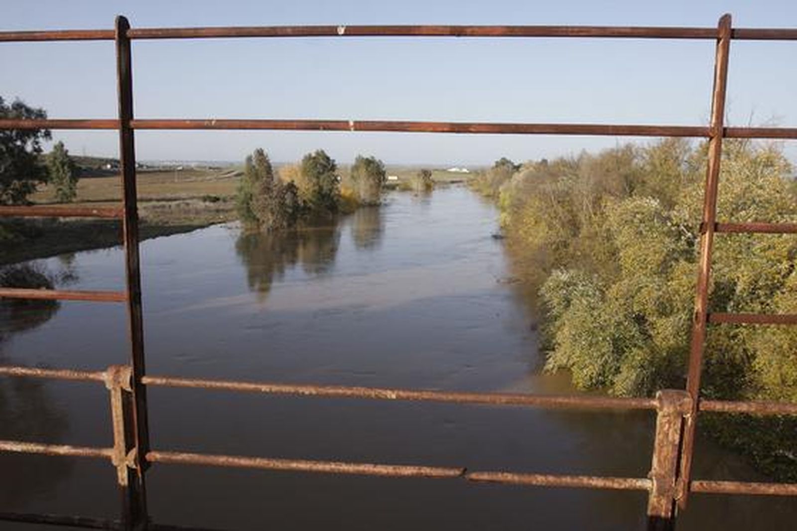 Foto: José Ángel García