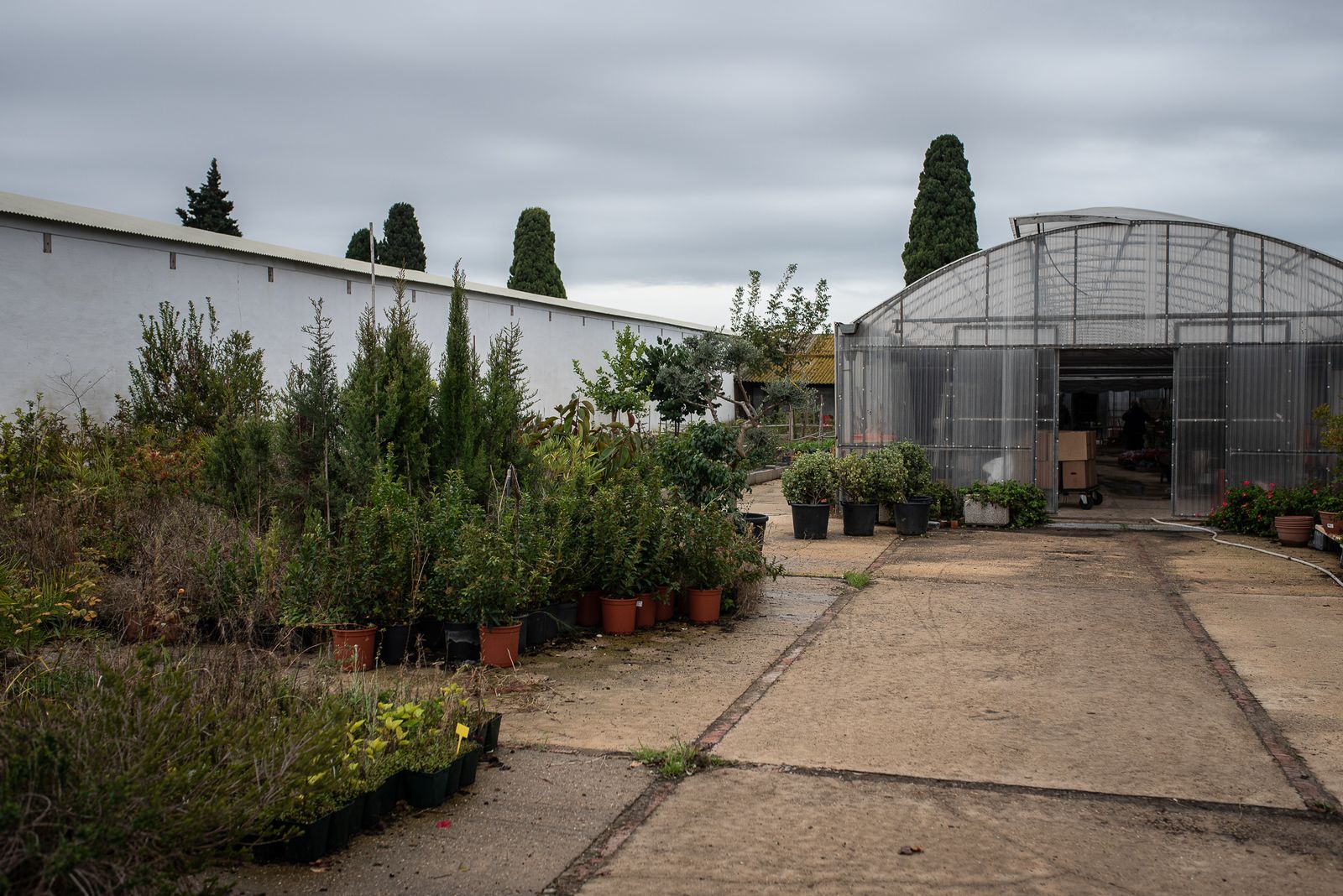 Visita al vivero municipal en imágenes