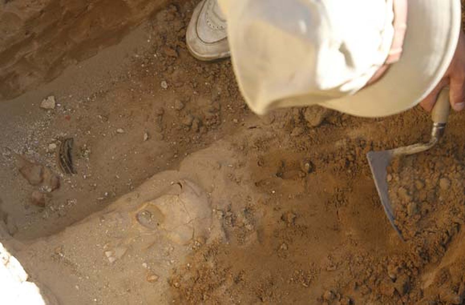 Hallan en Puerto Real una fosa con restos de más de cien fusilados durante la Guerra Civil

Foto: Borja Benjumeda