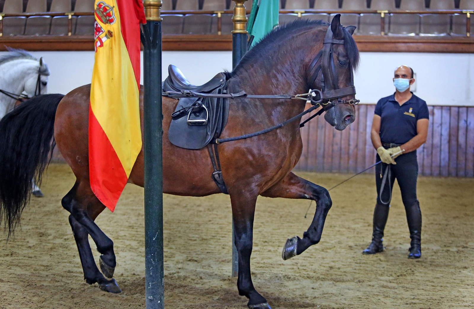 Real Escuela de Arte Ecuestre,Coronavirus