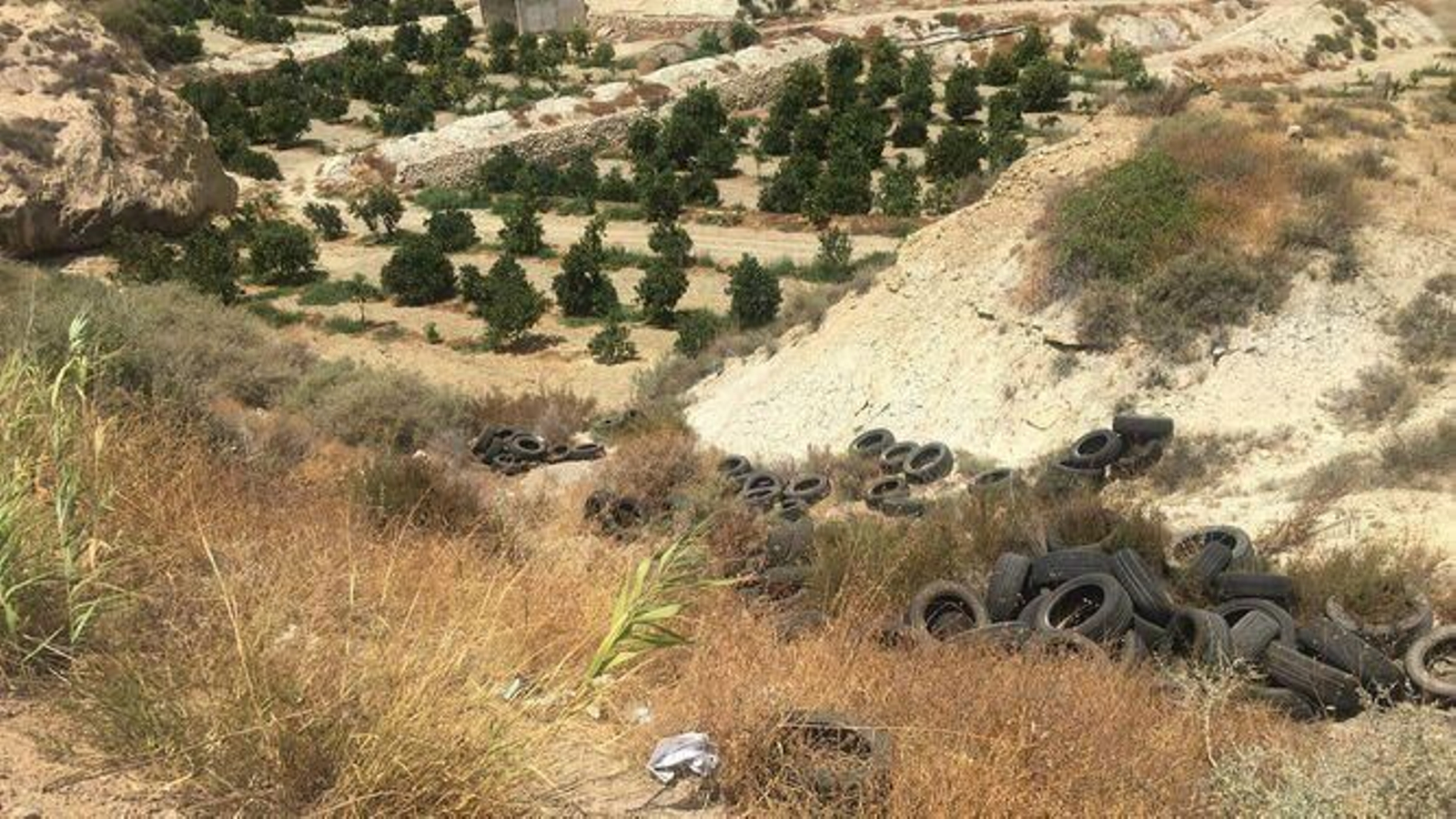 Zona de Benhadux donde se localiza el yacimiento arqueológico