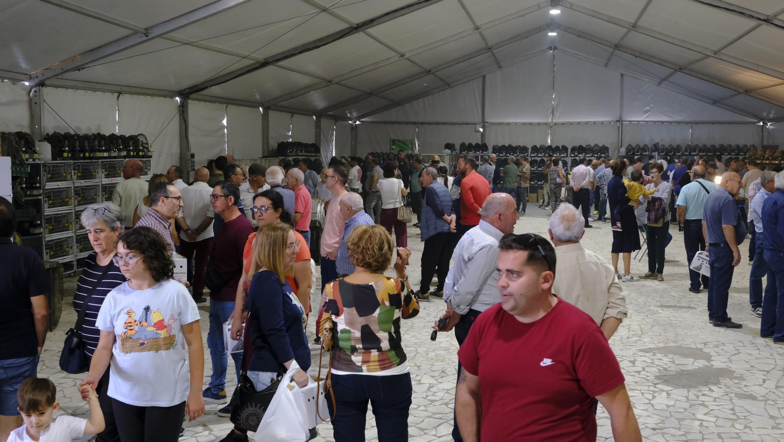 Las fotos de la Feria del Ganado y del Pájaro Perdiz en Albox