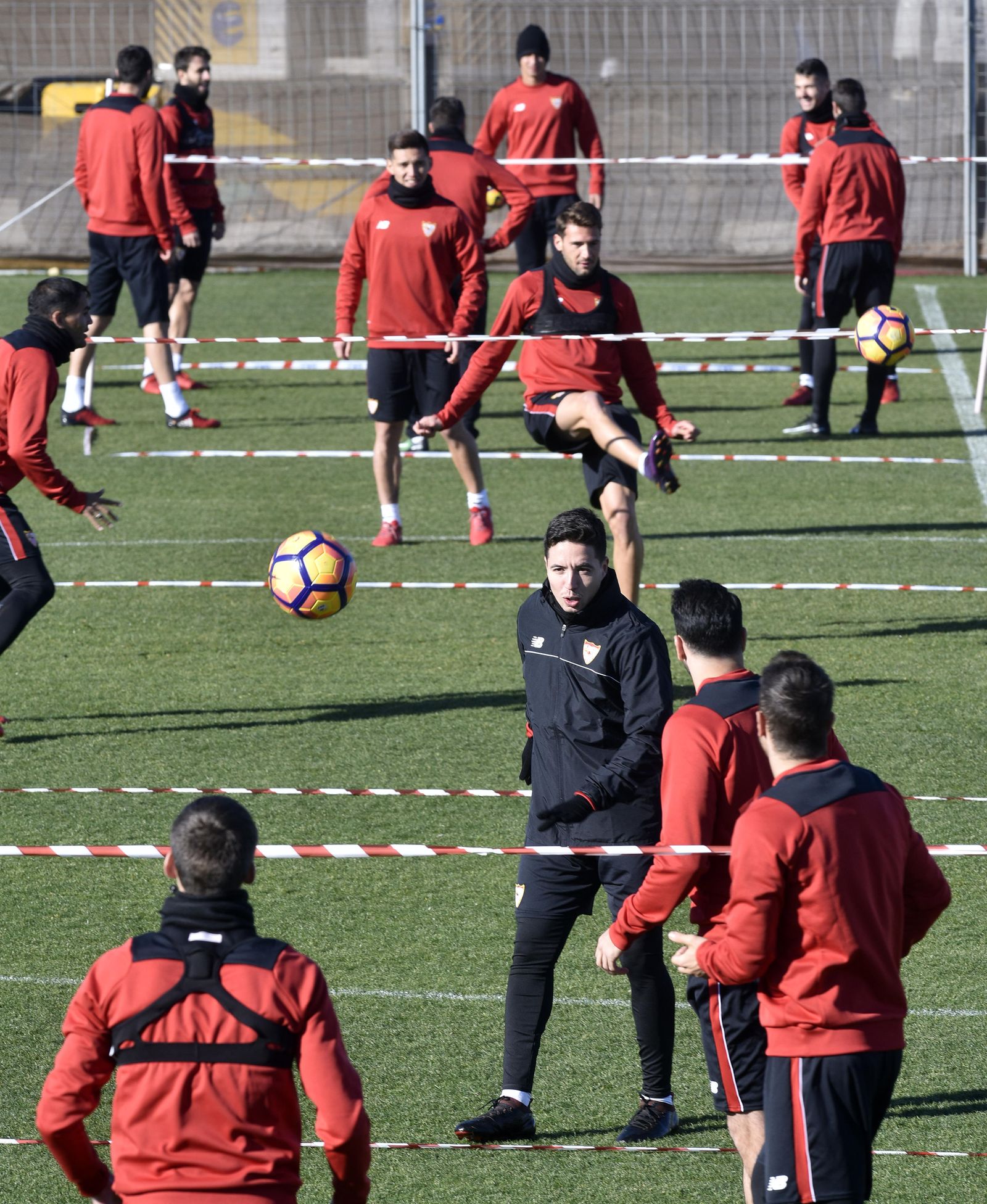 Que el árbol sí deje ver el bosque