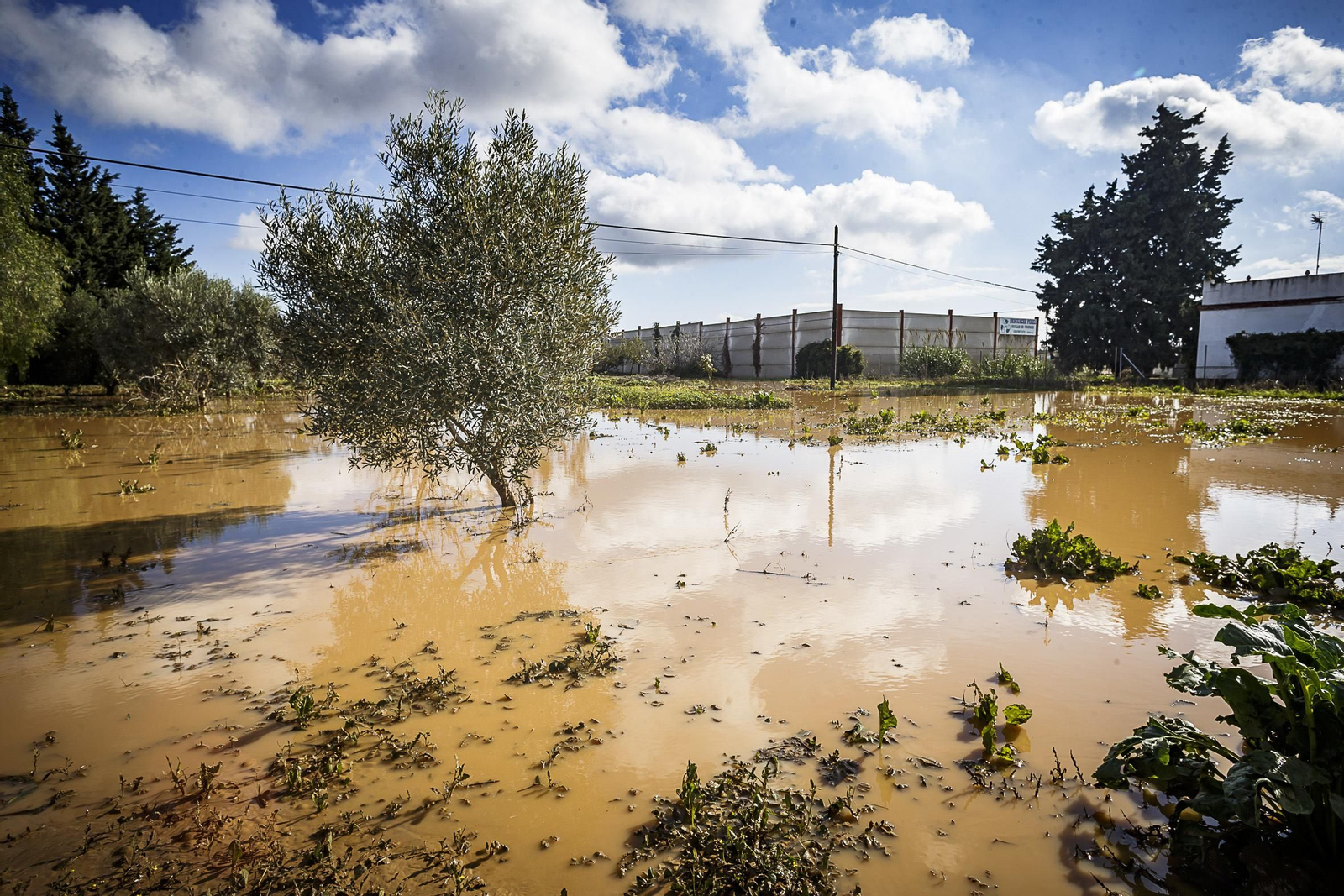 Consecuencias del temporal en Cádiz