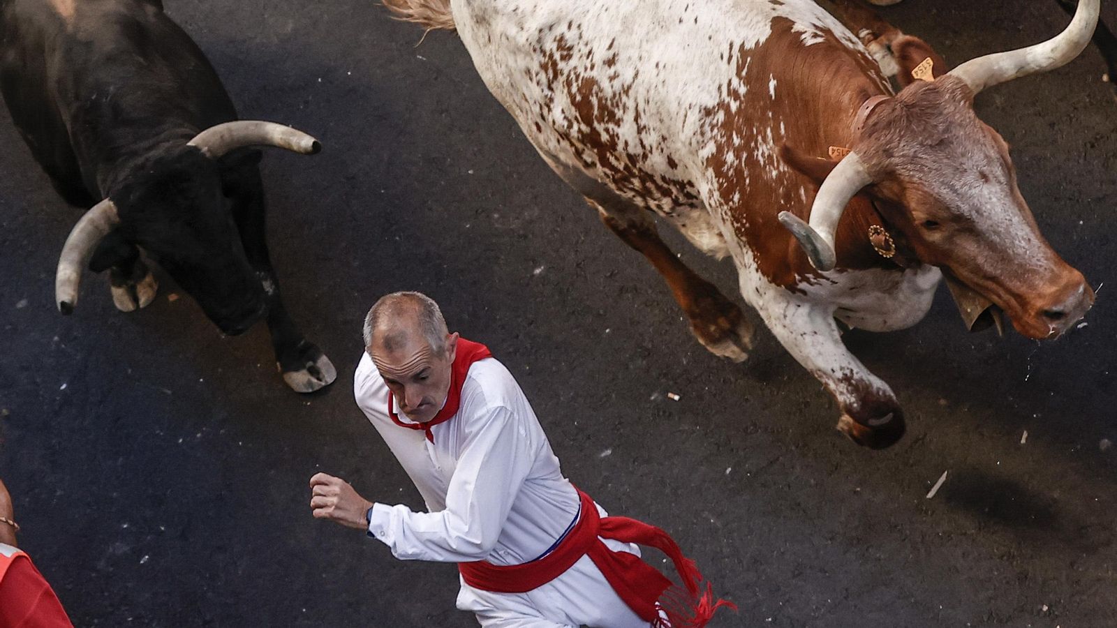 Una imagen del encierro de La Palmosilla