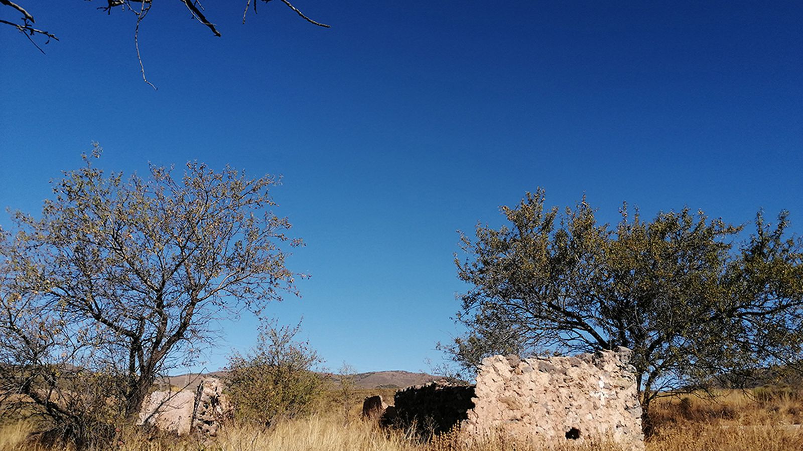 La Ventilla. Restos de la antigua venta