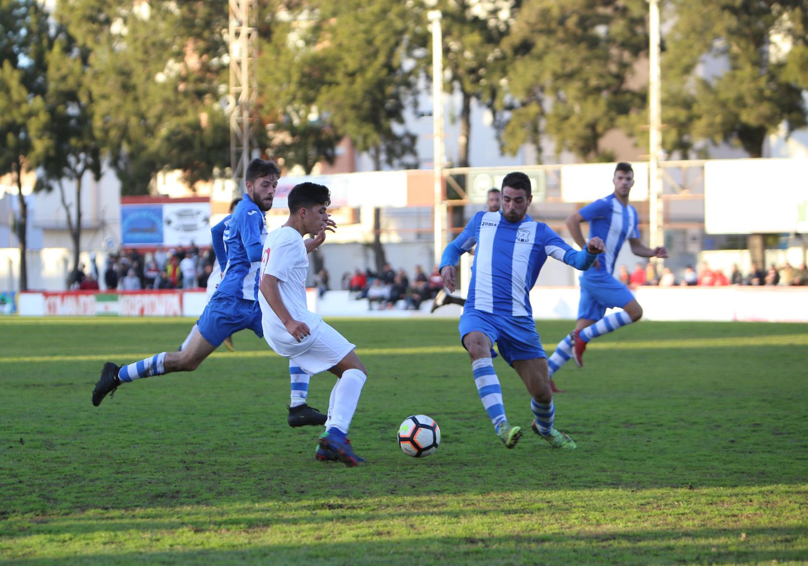 Manolo vio en Chiclana la quinta amarilla y es baja.