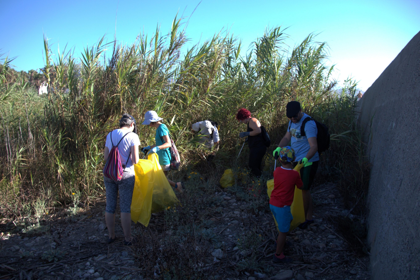 Así ha sido la jornada de limpieza de la desembocadura del río Guadalfeo en Salobreña