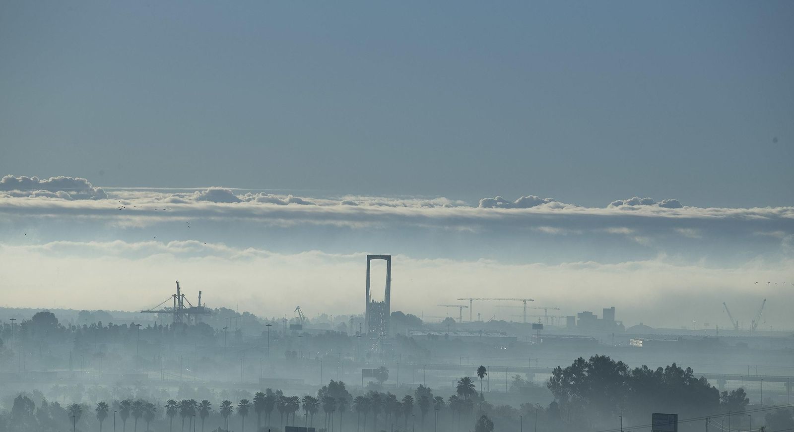 La niebla cubre Sevilla