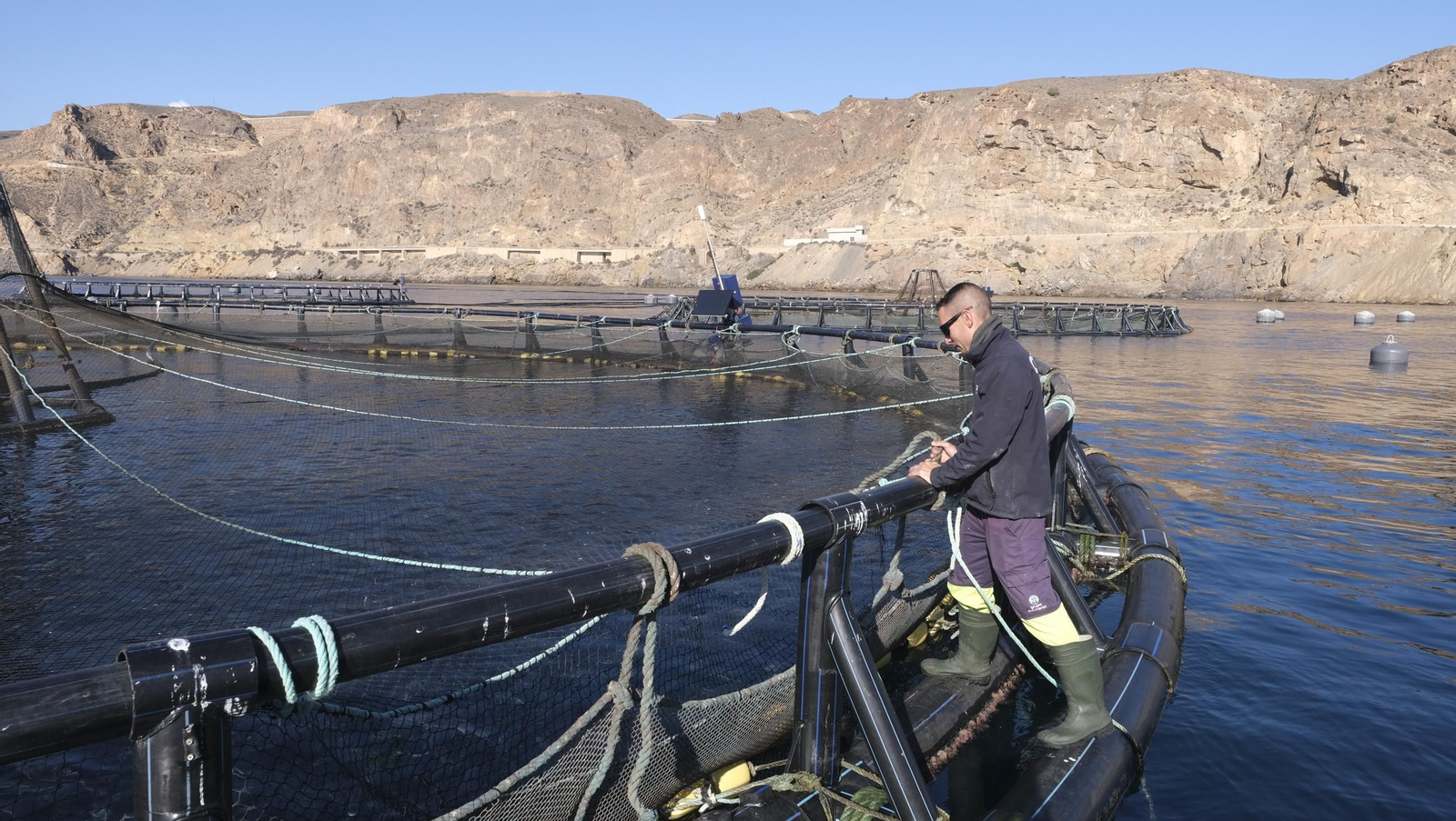 La piscifactoría de El Cañarete, en imágenes