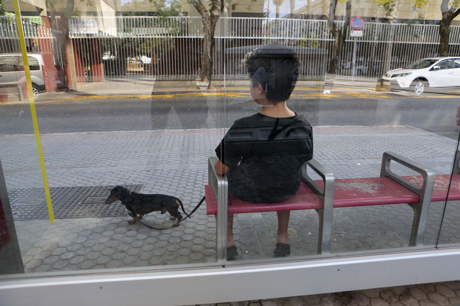 Un niño espera el autobús en una parada, en compañía de su perro.