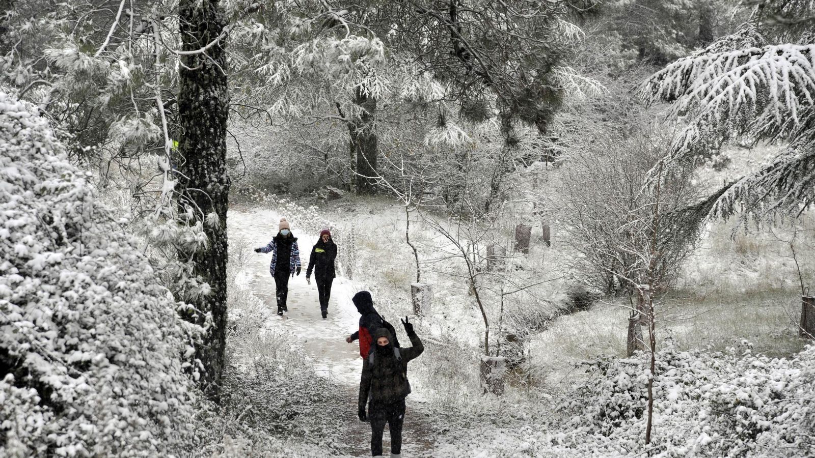 Nevada en Grazalema en 2021