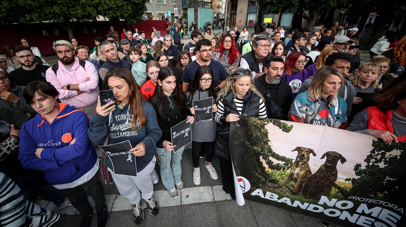 Protestas por el asesinato del perrito 'Oddie' en Jerez