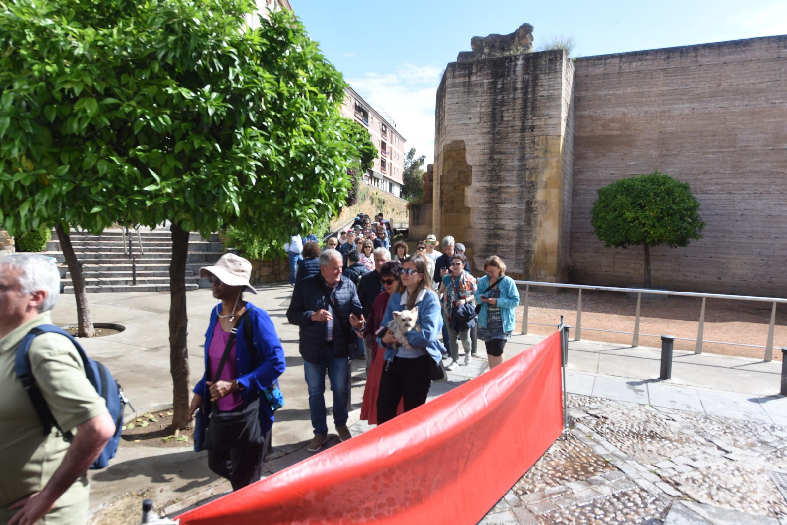 Los Patios de Córdoba de la Ruta del Alcázar Viejo, en imágenes
