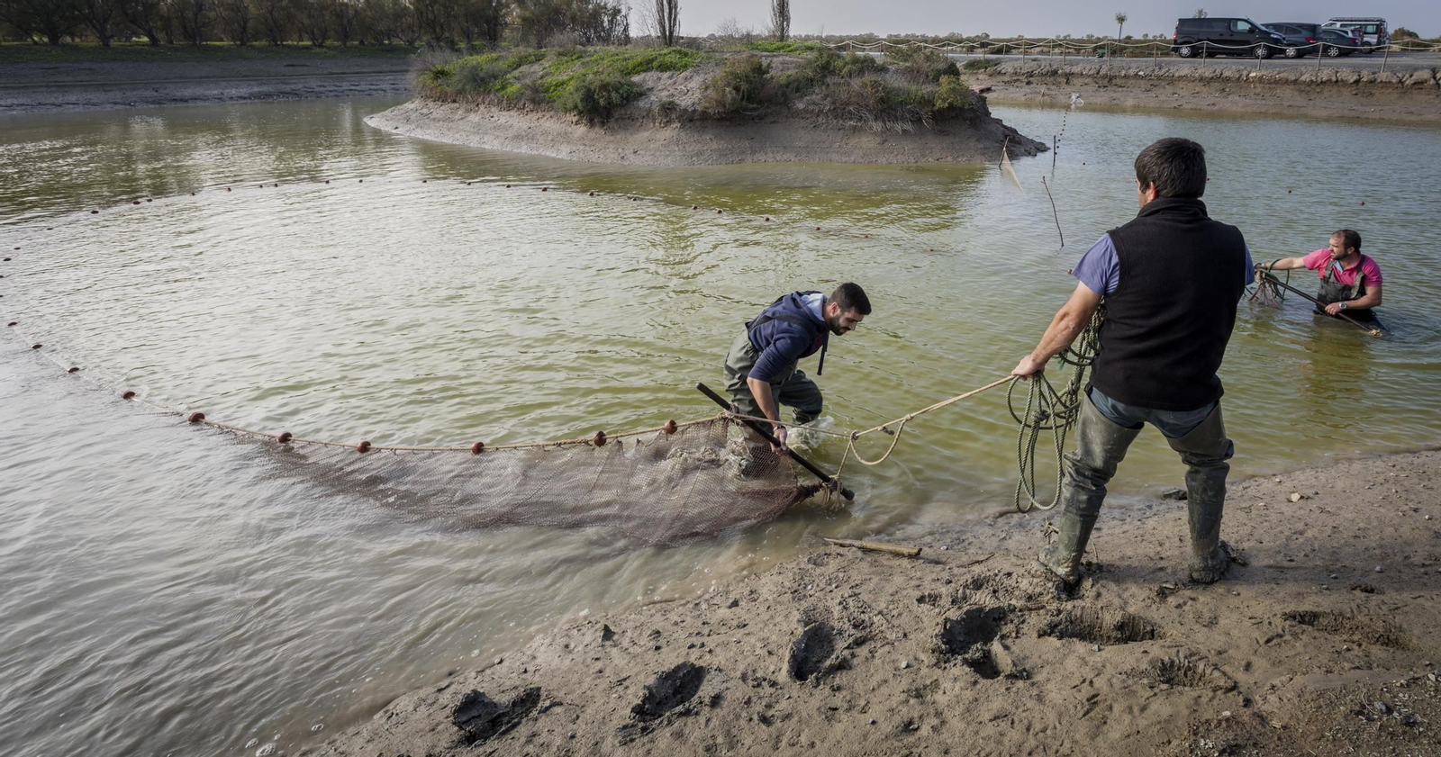 Encuentro de empresas turísticas de Cádiz en la Doñana gaditana