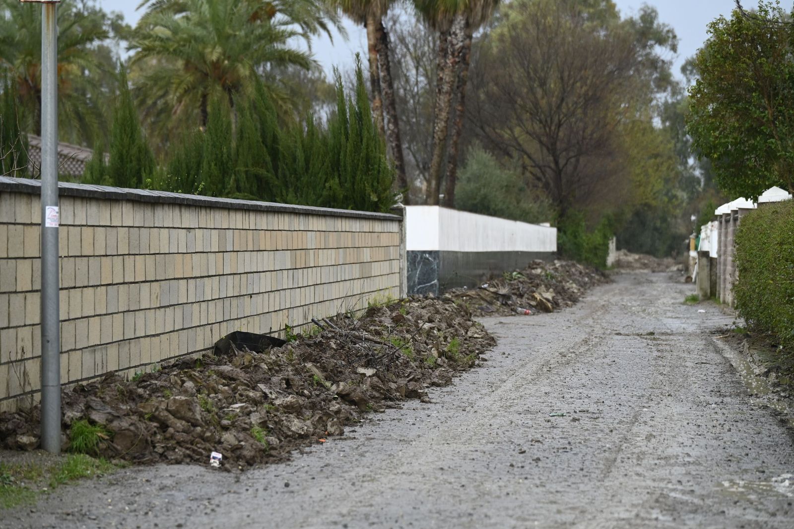 Parcelas de Guadalvalle siguen anegadas por el barro un mes después de las inundaciones