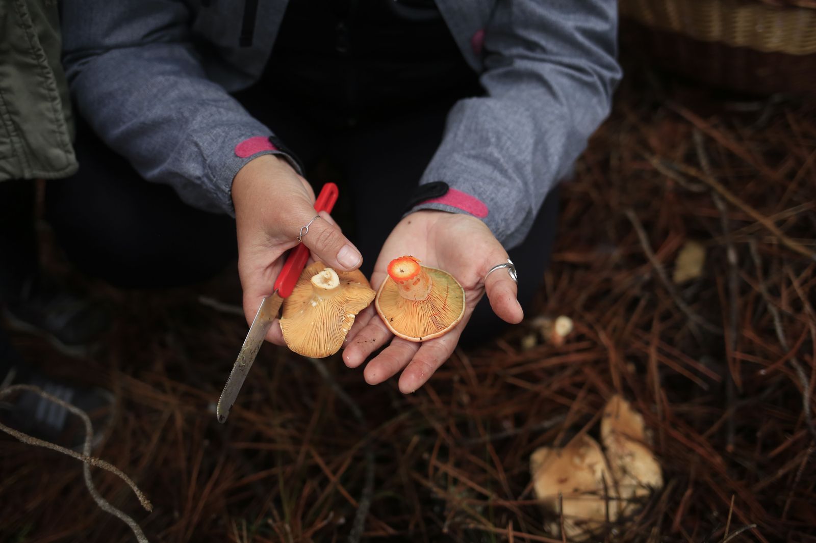 Disposiciones municipales