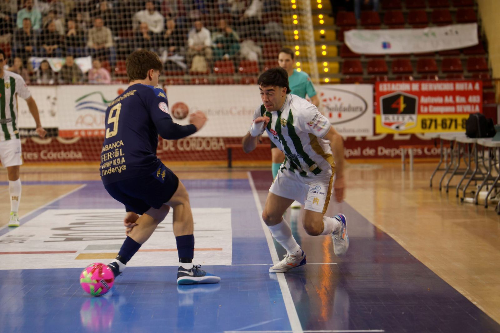 Las mejores fotos del ambiente en Vista Alegre para el Córdoba Futsal - O Parrulo Ferrol