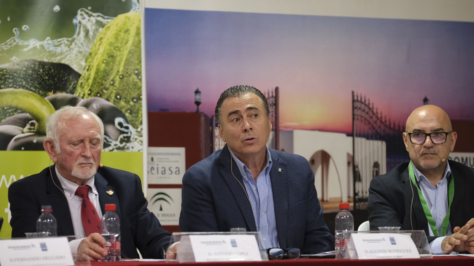 El vicepresidente de AREDA en su turno de palabra.