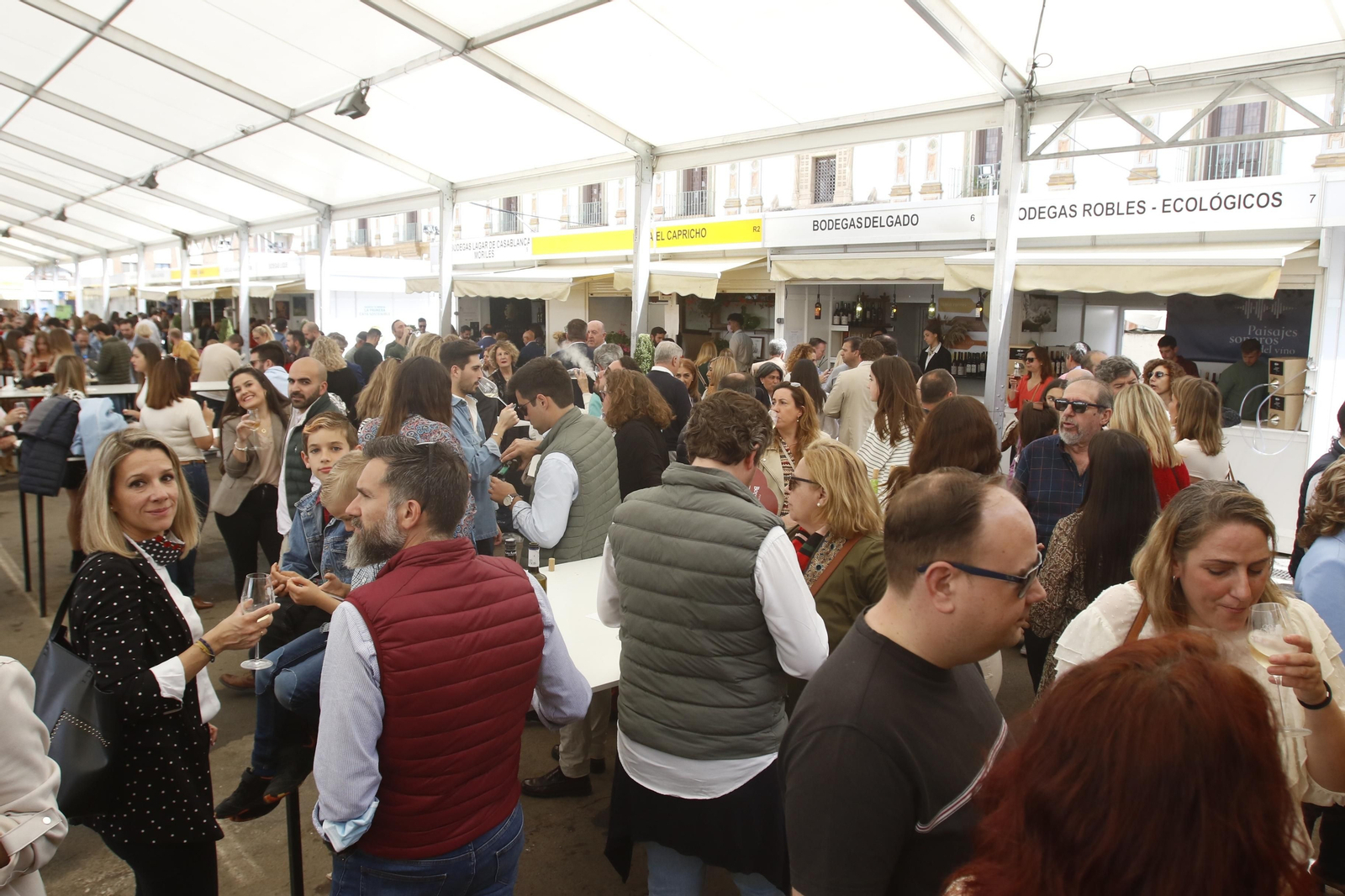 El último día de la Cata del Vino de Córdoba, en imágenes