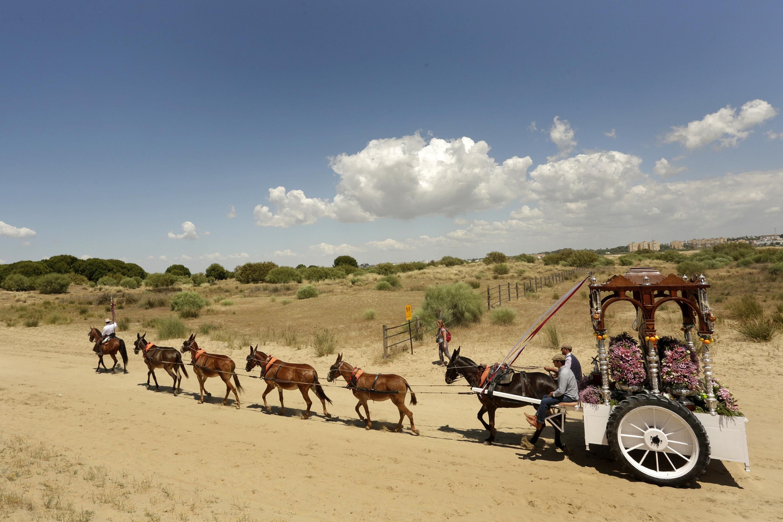 Las imágenes de la jornada en Bajo de Guía