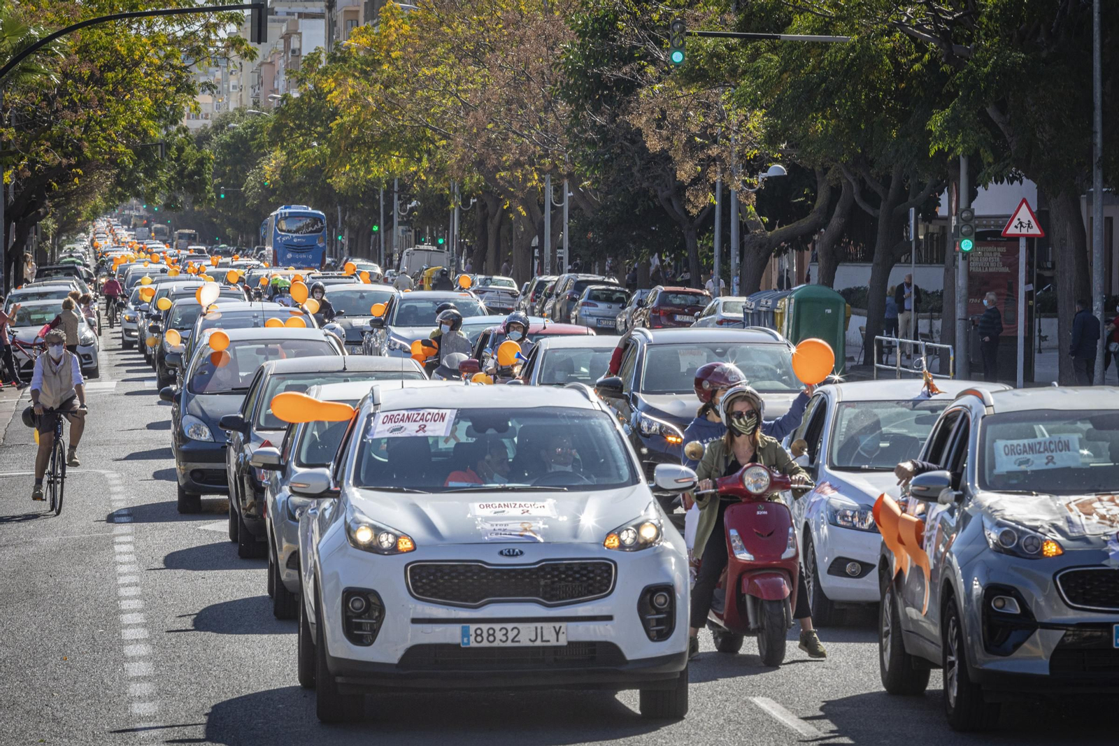 Imágenes de la caravana de coches en Cádiz contra la Ley Celaá