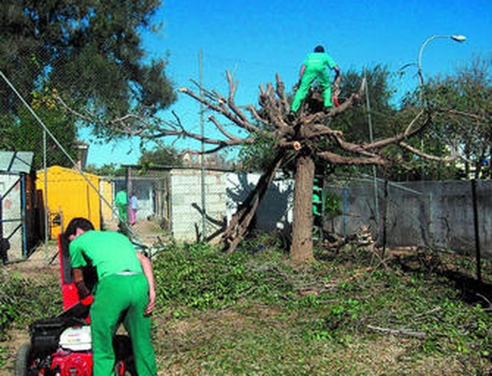 Dos menores del centro, en un taller de jardinería.