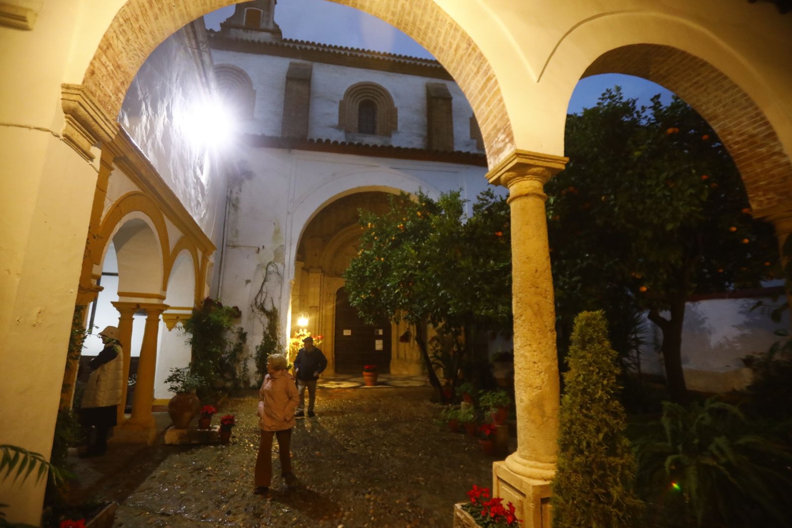 Los Patios de Córdoba abren por Navidad, en imágenes