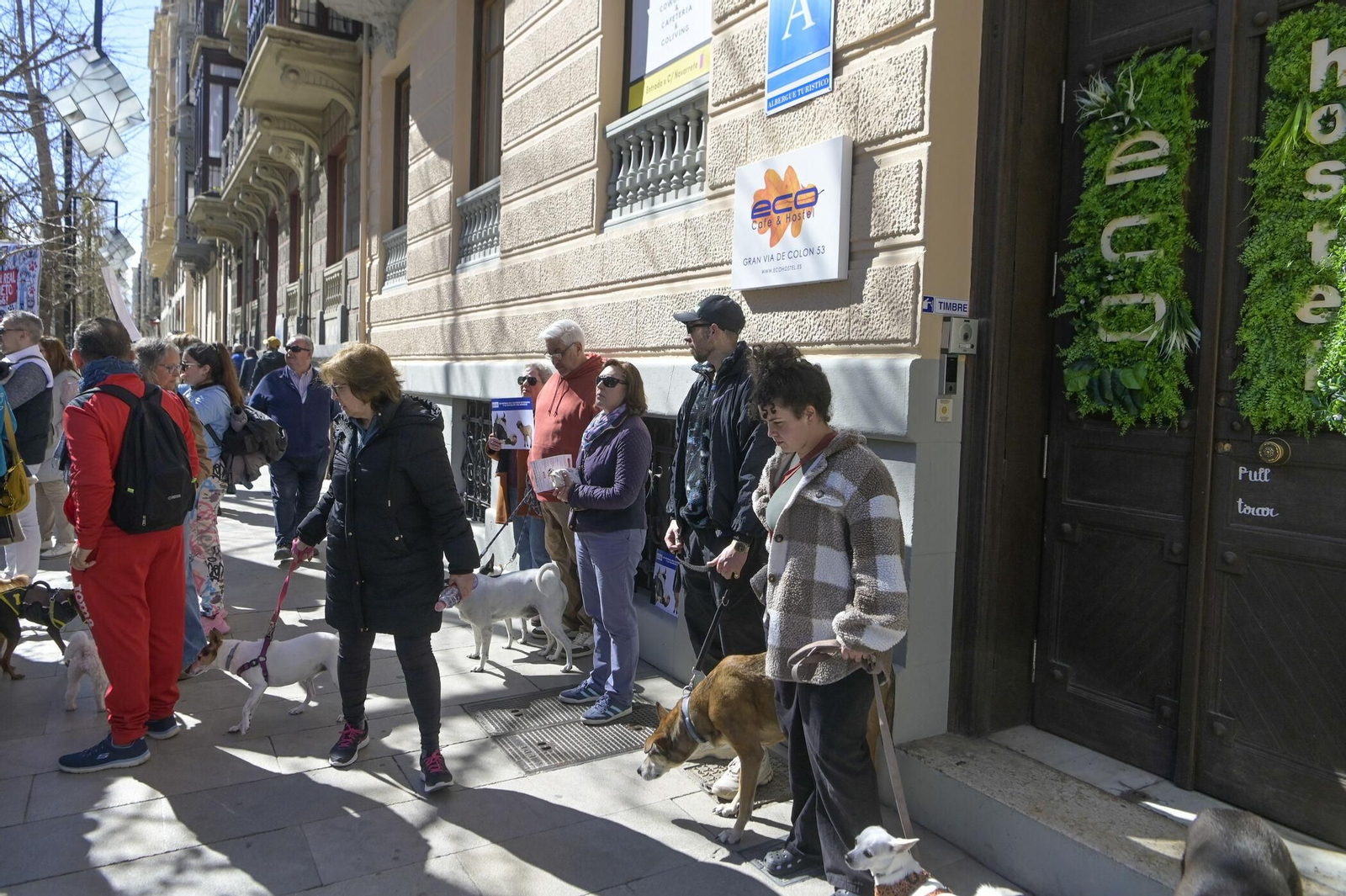 Las mejores imágenes de la manifestación de 300 veterinarios en Granada