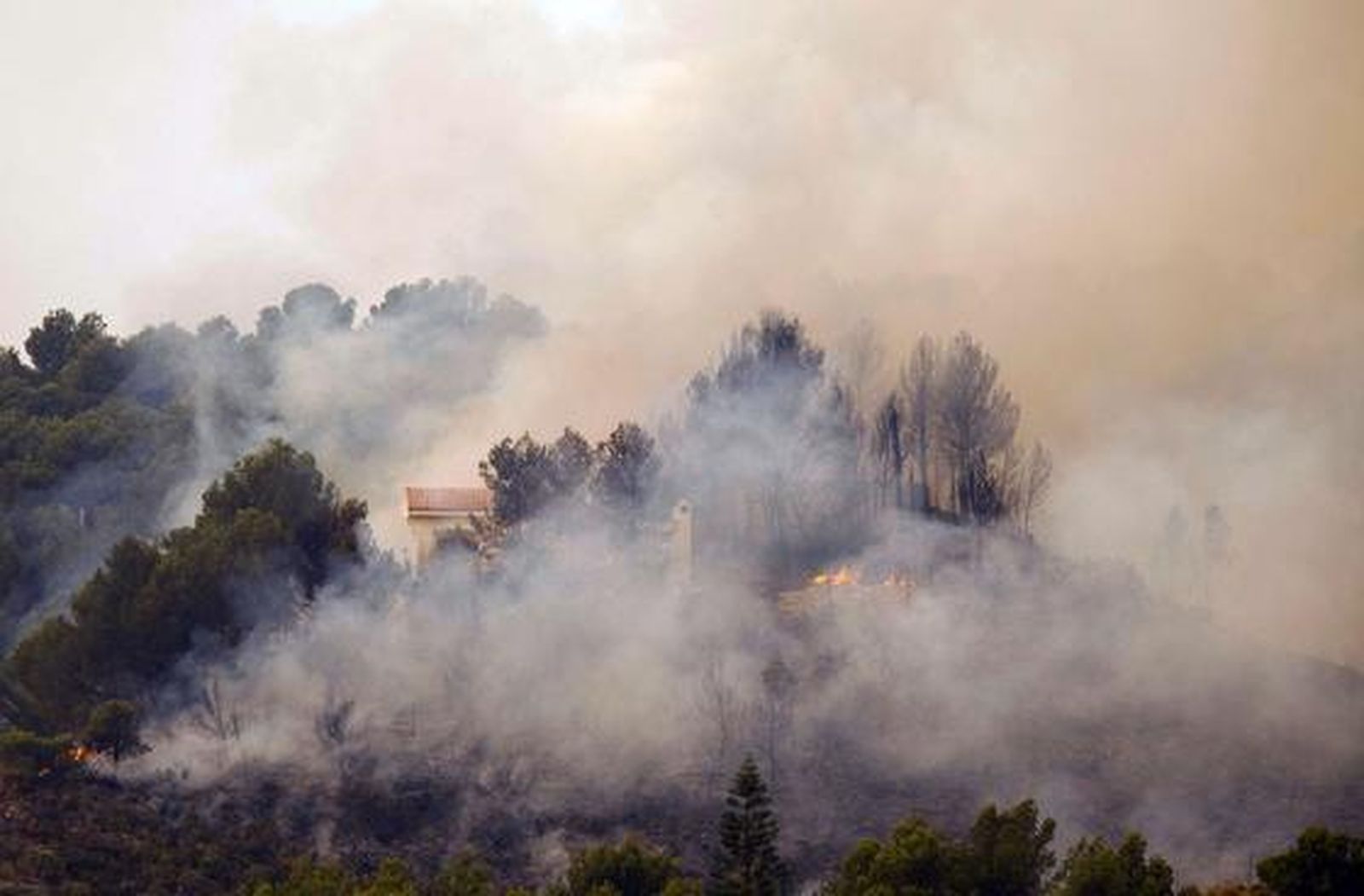 El fuego arrasa miles de hectáreas en comarcas del interior de la provincia de Valencia.

Foto: AFP