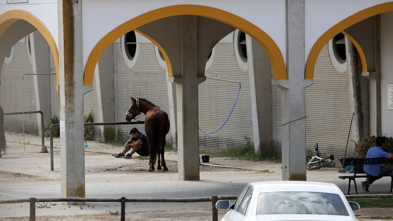 20 años después de los Juegos Ecuestres Mundiales Jerez 2002