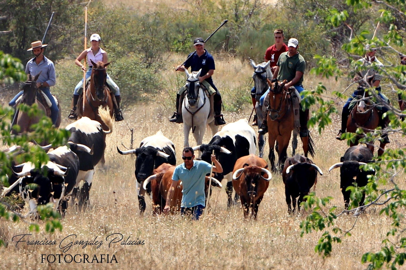 Saltos y fintas de vértigo en los encierros de Santiago de la Espada, en imágenes