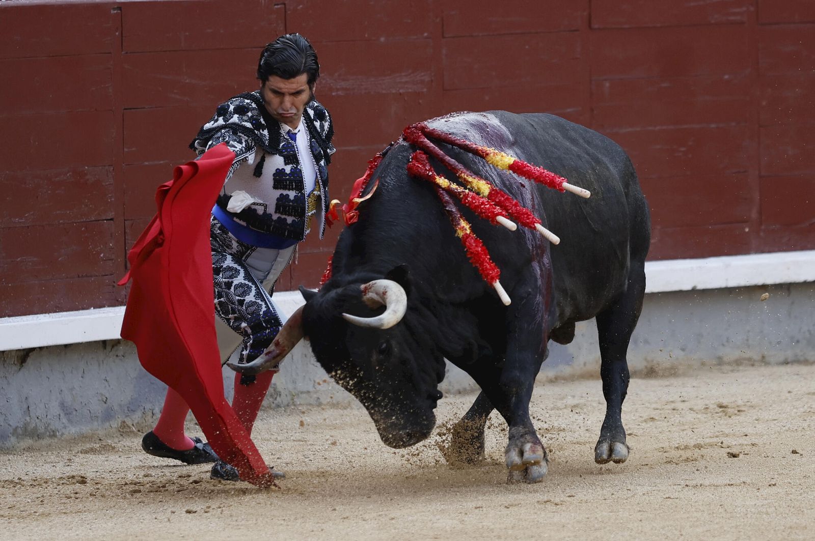 Morante  de la Puebla da un pase a su primer toro durante el festejo taurino de San Isidro.